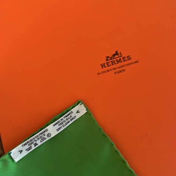 HERMES SILK SCARF 34”x34” La Promenade Comes with Box - Picture 11 of 14